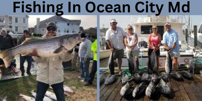 Fishing in Ocean City Md
